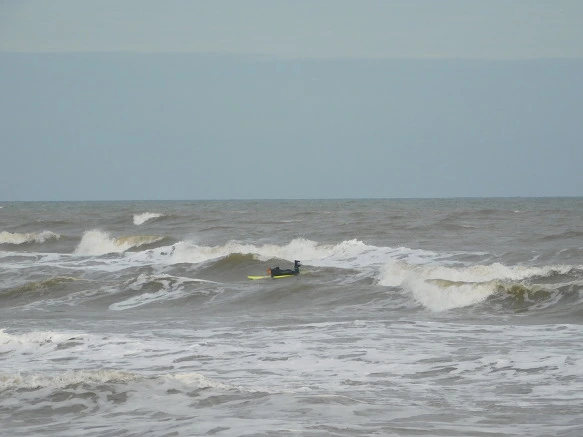 997C74385BF76EEA238B9F