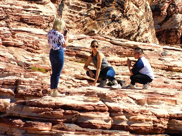 995F79355BCD1D930A120D