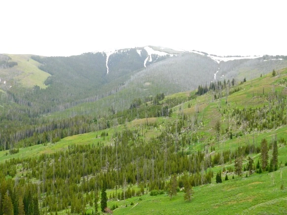 9986A8495B39A84B2F19BB