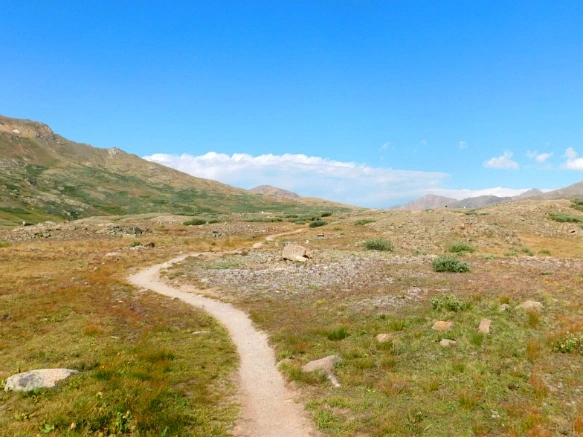 99E6464C5B6BA3422364E7