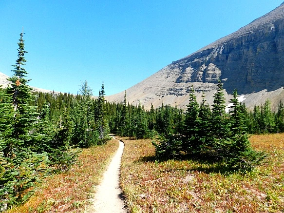 999834445B95AAD8124FCE