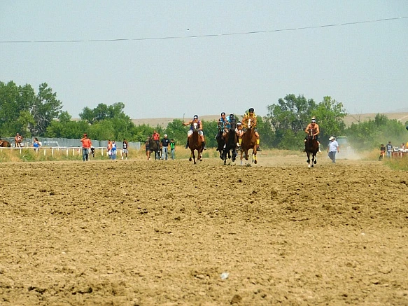 993D06335B7D955D12B47F