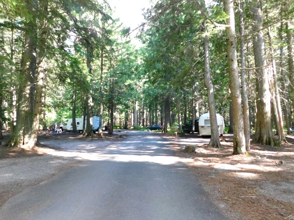 9906E94C5B3812D026C925