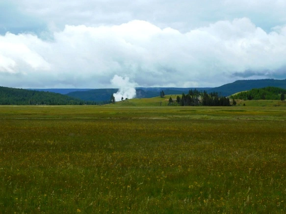 99D7E2495B39A58518A284