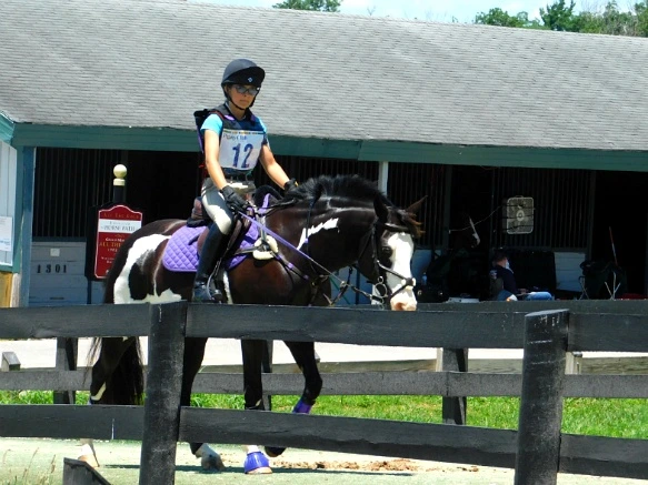 21563033597D19512795D9