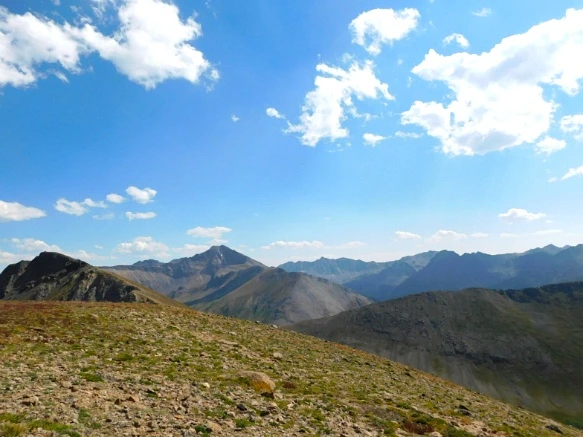 990A054A5B6BA3362744C1