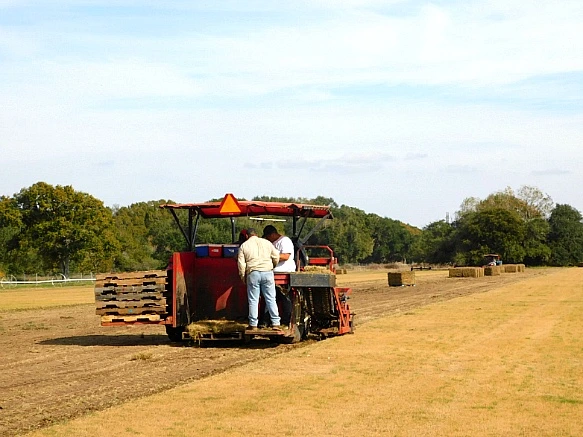 9980F94E5BFC9CDB0EF572