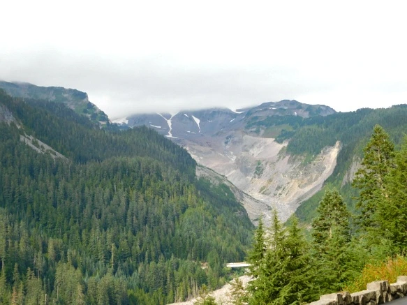 99F3AA3359A4AE013582F3