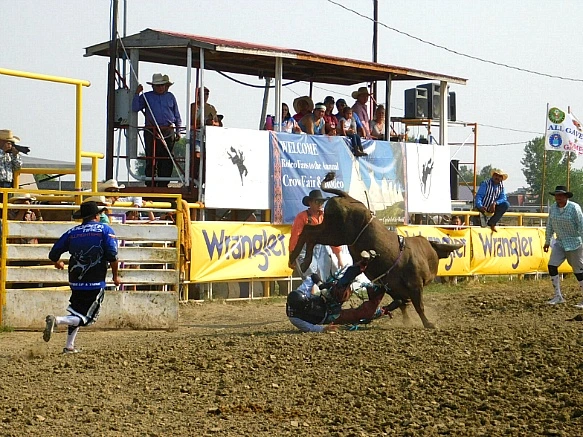 992F47365B7DA06504B658