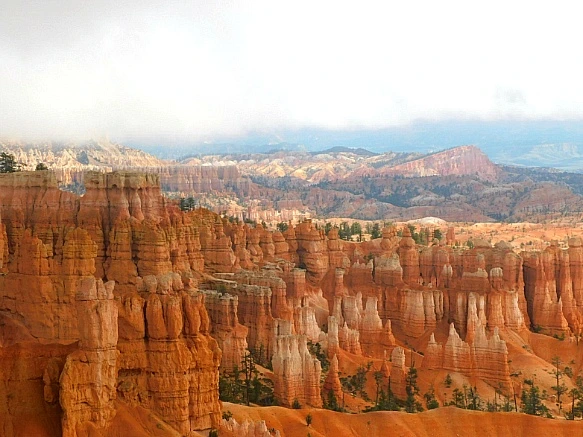 99BC5B4A5BC56CAC0B12E4