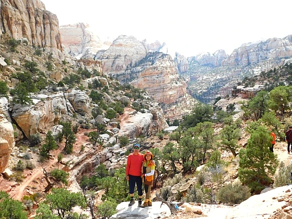 99B919435BC2B44604C9C4