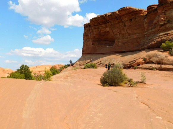 995D0B3359B31A6A13867F