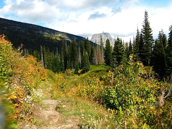 998A844C5BAAF9F108CD15