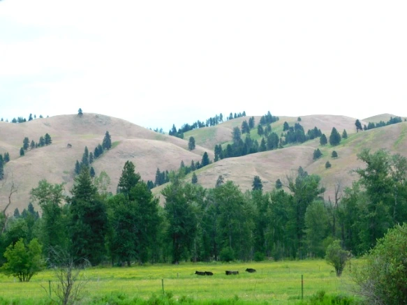 99142B375B2F2AAE363211