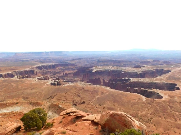 999FF4335A0E548B04C98F