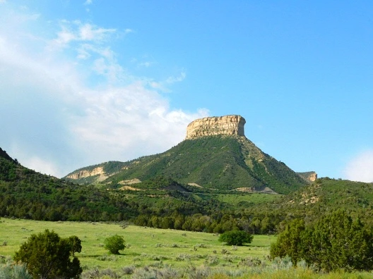 2558C946576225340CEBF3