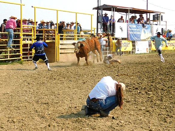 992A0A365B7DA05A04F3C4