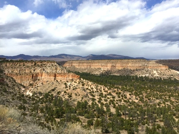 213413355707096318F516