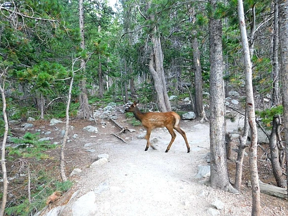 99E9514D5B7269140B1668