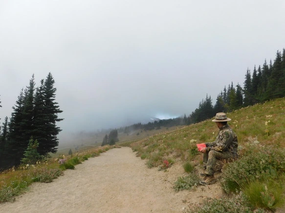 99F9973359A4AAFC05C39B