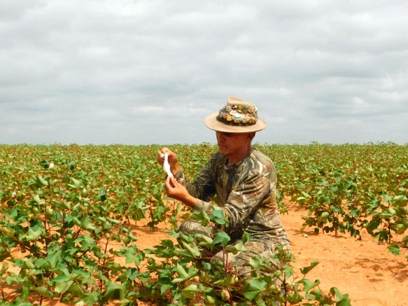 9998F5335A07C959040EA0