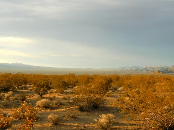 271CEE3A577B02DB03D9C6