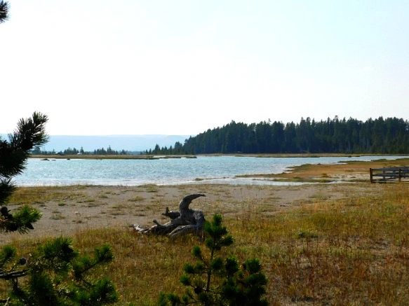 99798D3359ADFC9B034726