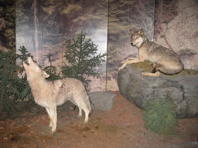 146D51324C6EC52110915F