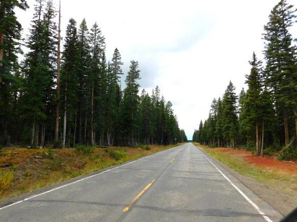 998C4A3359BF4A841EE787