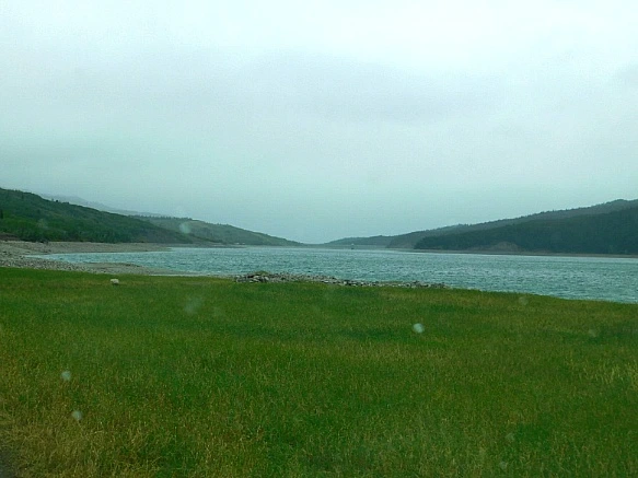 991B79435B8DC3AE39EF59