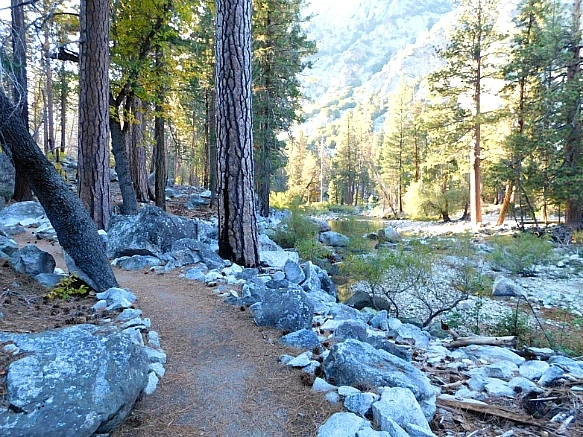 9955D24A5BDBD99B245458