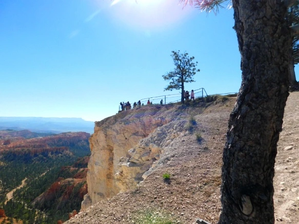 2322303C5769DA681FF981