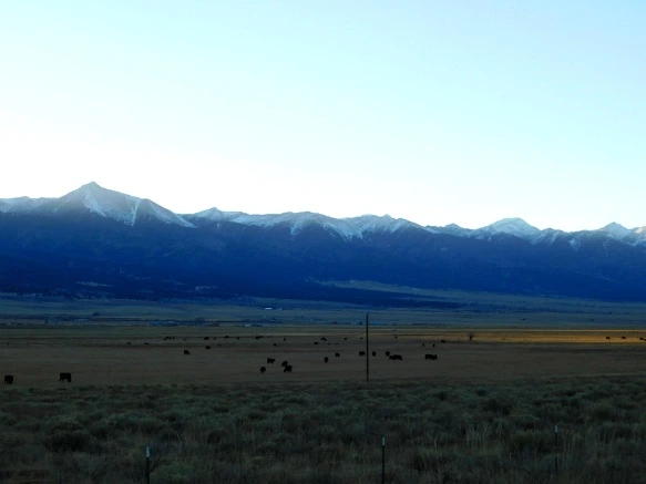 9943CD335A07C86724FD89