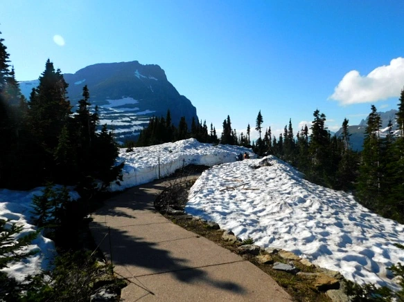 993FA7475B34577C275589