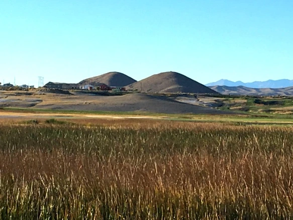 990D49335A21DE981CFE5A