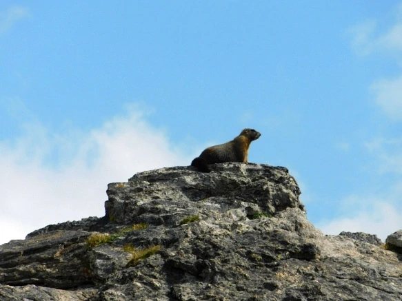 99E4214E5B6E6A6918FA12