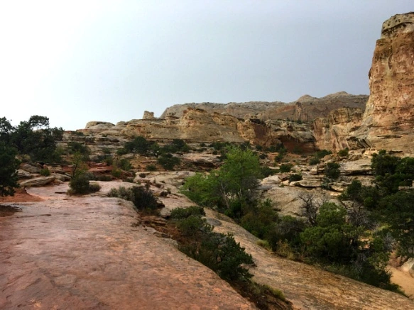 9921233359B75136056DD3