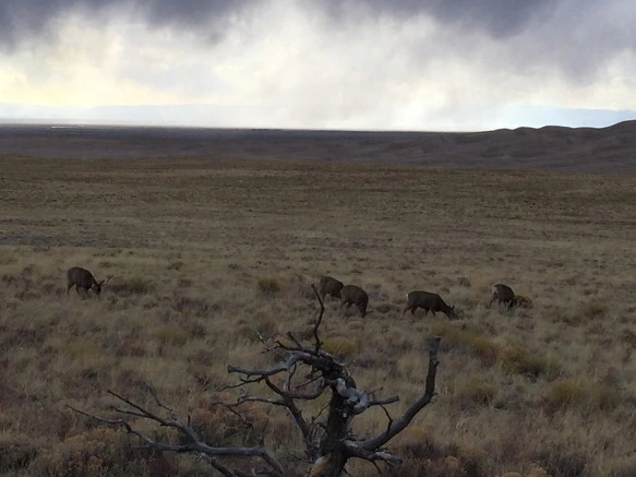 26162E47570033B2391901