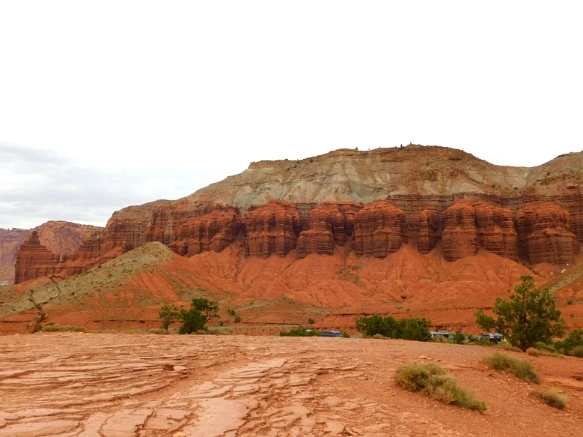 99F20B3359B74D4F21A247