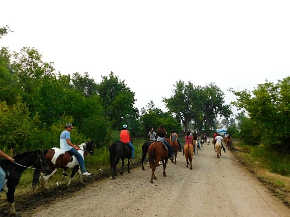 99CE3F4F5B8379C32A243E