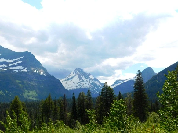 99A142505B3573E133037F