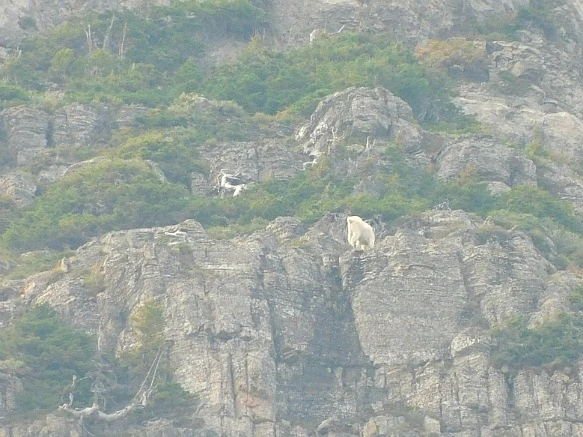 999C0D4B5B88AD210941ED