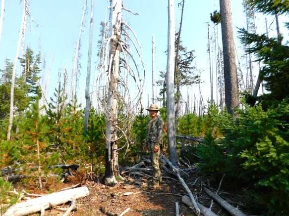 99E1D73359A62E791EE07B