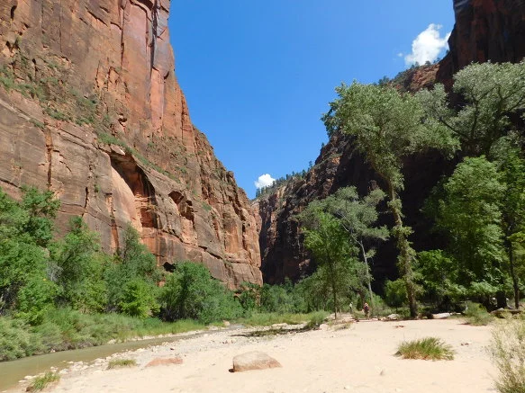 99E23C3359BB12C02A9610