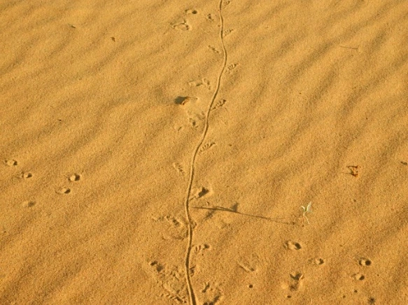 2270FE34577B02AC0474FE