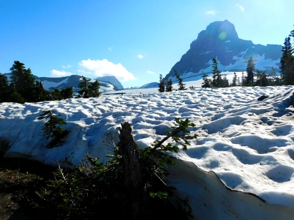 995EF8475B34577E2734C5