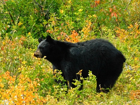 99137B4C5B949F6B235D0B