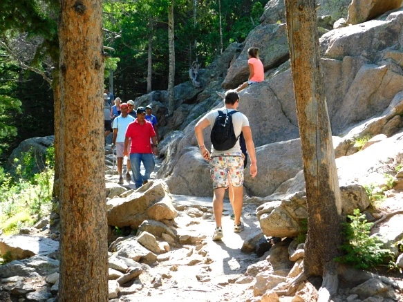 993D544E5B7266D9264BE5