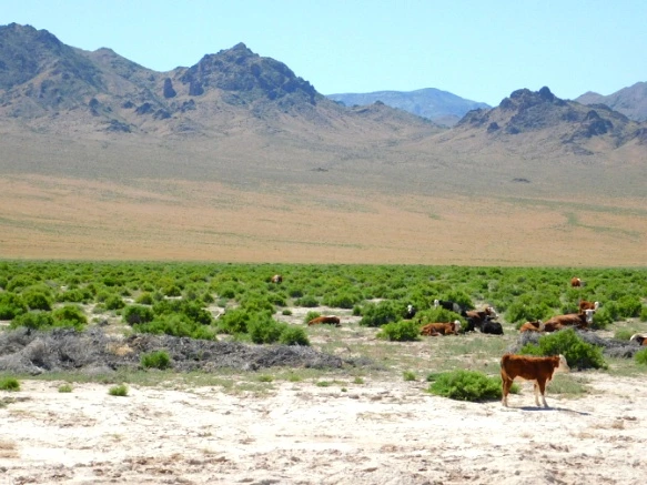 2259EE3E576F44C31D9C9C