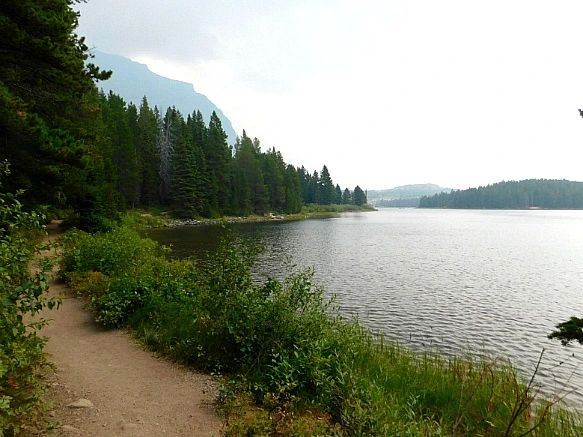 99F142405B8C9E841AF79E